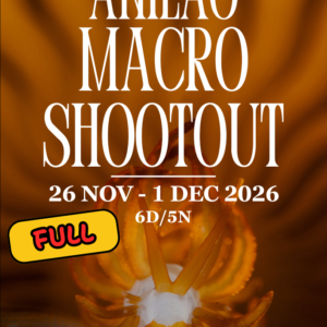 [FULL] 6D/5N ANILAO MACRO SHOOTOUT TRIP 2026 - STAY IN ACACIA